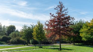 Park in Utrecht