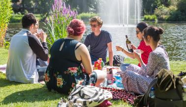 Picknick